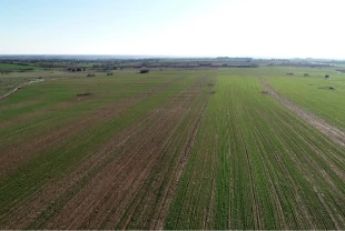 64 ilde 48,8 milyon metrekare arazi tıbbi ve aromatik bitki yetiştirilmek üzere kiralandı