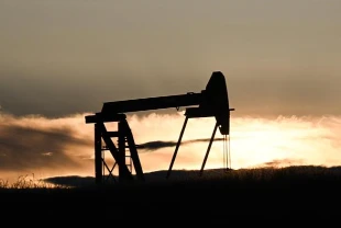8 petrol devine kar darbesi: Kayıp yüzde 20’yi aştı