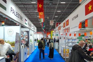 8 trilyon dolarlık helal pazarı İstanbul'da buluştu: Fuar kapılarını açtı