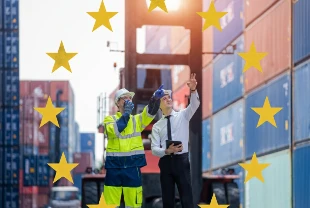 AB gümrük veri merkezi kuruyor: Ticarette kontrol artacak