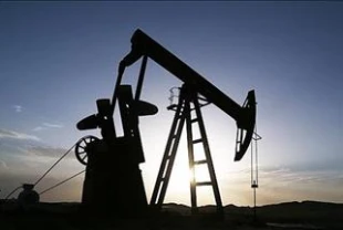 ABD'de sondaj faaliyetlerinde haftalık artış kaydedildi