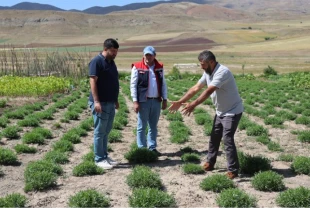 ABD'li yatırımcılar Bayburt'ta inceleme yaptı!