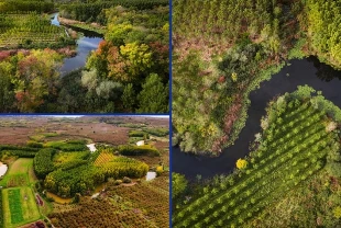 Acarlar Longozu sonbahar renkleriyle büyülüyor: Sakarya’da doğa fotoğrafçıları için eşsiz manzara