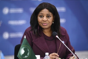 Afrika Birliği Türkiye'nin tecrübesinden yararlanmak istiyor