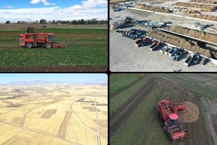 Ağrı'da devlet desteğiyle ekilen tarım ürünlerinde çeşitlilik artıyor