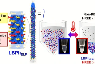 'Akıllı sünger' virüs nadir elementleri toplayacak