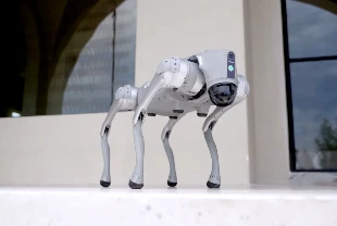Alibaba somutlaştırılmış yapay zeka robot modelini tanıttı: Qwen