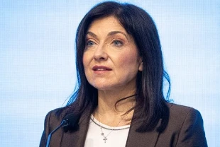 Almanya Ekonomi Bakanı’ndan Rus gazıyla ilgili Türkiye yorumu