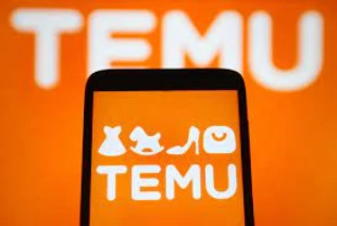 Almanya'dan Temu'ya 'kartel' incelemesi