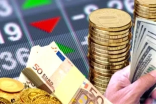 Altın ve Euro değer kaybetti: Haftanın kazandıranı borsa oldu