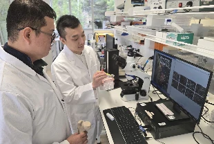 Antibiyotiksiz kemik onarımı: Nanopartiküllerle çift etkili implant