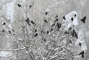 Aralık ayında hava durumu rekorları: En soğuk Van’da en sıcak Hatay’da