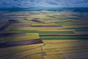 Arsa ve tarlaya ilgi sürüyor: Satışlar 2025'te 1,6 milyonu aştı