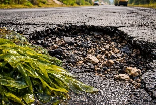 Asfaltın ömrünü ‘yosun’ uzatabilir