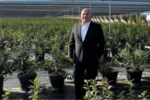 Atıklardan elde edilen enerji Ankara'da yaban mersini yetişmesini sağladı
