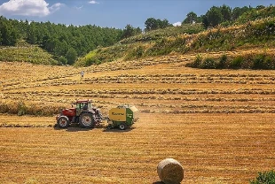 Avrupa'nın en büyük tarım-gıda alıcısı belli oldu
