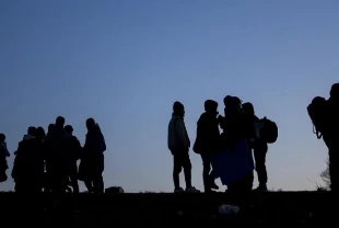 Avusturya nüfusu sadece göçle büyüyor: Doğum oranları azalıyor