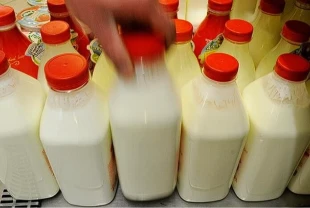 Ayran, kefir ve yoğurt üretiminde 4 aylık rekor