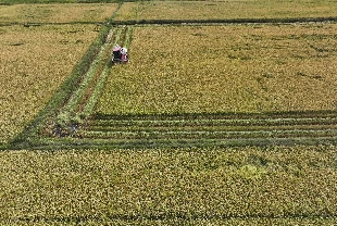 Bakan Yumaklı açıkladı: 19,5 milyar lira tarımsal destekleme ödemesi bugün yapılacak