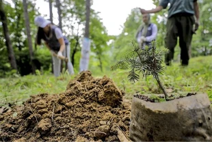 Bakan Yumaklı'dan vatandaşlara 'ağaçlandırma seferberliği' çağrısı