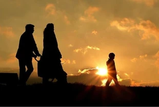 Bakanlık 2025 Aile Yılı kapsamında 5 bine yakın faaliyete öncülük etti: 81 ilde etkinlikler düzenleniyor