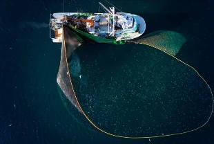 Bakanlık duyurdu: Su ürünleri avcılığı sözleşmeli üretim kapsamına alındı