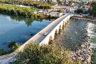 Balık ölümleri arttı! İnceleme başlatıldı