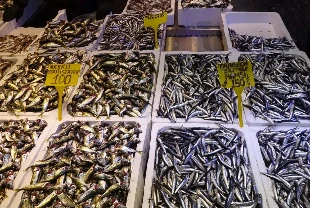 Balık tezgahlarında aylar sonra hamsi bereketi: Kilosu 150 TL