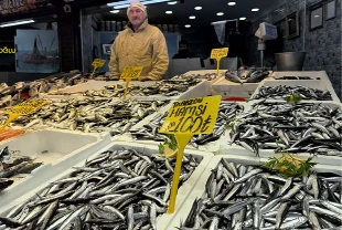 Balık tezgahlarında hamsi ve istavrit 100 lira