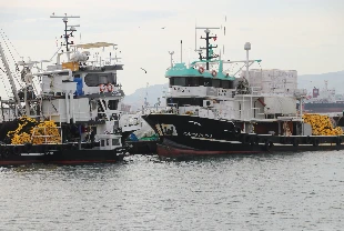 Balıkçılar iki gündür denize açılamıyor! Nedeni belli oldu