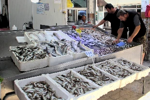 Balıkçılıkta geri sayım: Av yasağına son 9 gün! Tezgahlarda haraketlilik var