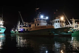 Balıkçılıkta hedef açık sular: Anlaşma yapılan ülke sayısı 17'ye çıktı