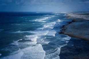 Balıkçılıkta küresel açılım: Türkiye IOTC gözlemcisi oldu