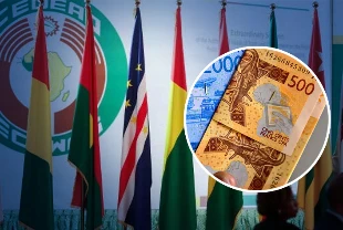 Batı Afrika'da ortak para birimi için çalışmalar başladı