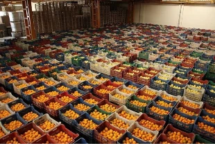 Batı Akdeniz'in ihracatı yüzde 7 arttı! En çok Almanya'ya satıldı