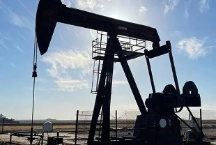 Batman, Siirt, Diyarbakır kararı Resmi Gazete'de! TPAO petrol arayacak