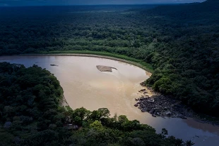 Bilim insanları uyardı: Amazon 'geri dönüşü olmayan eşikte'