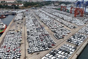 Binlercesi Türkiye'ye getirildi! Haydarpaşa Limanı'nda bekliyorlar