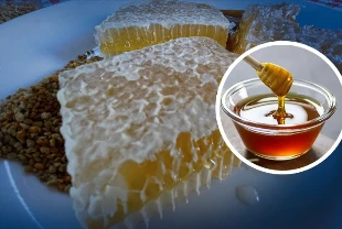 Bir ürün daha AB'den coğrafi işaret tescili aldı! Toplam sayı 43'e yükseldi