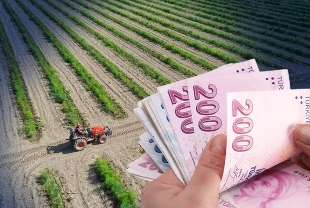 Bitkisel üretim destek ödemesi için yeni detaylar! 2025-2027 döneminde uygulanacak