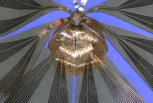 Biyoelektronikte yeni dönem: Organoidler 3D taranıyor