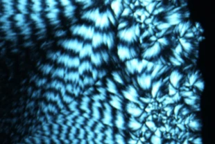 Biyohibrid veri depolama: Gram başına 215 milyon GB