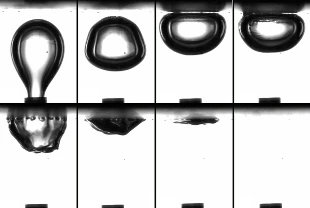 Biyoreaktörlerde verimliliği 1000 kat artıran membran