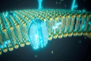Biyoteknolojide ‘nano’ devrim: Hücre zarının gizli kodu çözüldü
