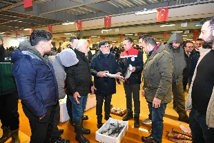 Boğaziçi Lüferi için balık haline ziyaret