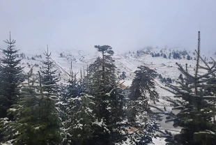 Bolu’nun yüksek kesimlerine mevsimin ilk karı düştü: Yaylalar beyaza büründü