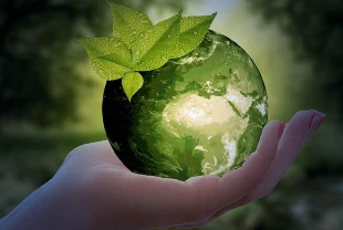 Bugün 30 Mart Uluslararası Sıfır Atık Günü