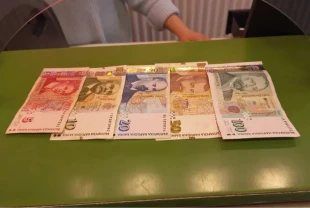 Bulgar levası tarihe karışıyor: 145 yıllık para birimi yerini euroya bırakıyor