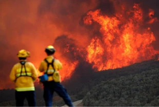 California'ndaki yangınlar 22 bin hektar alanı kapladı