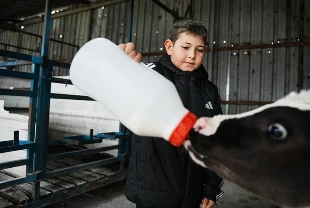 Çanakkale’de yapay zeka destekli süt çiftliği kuruldu